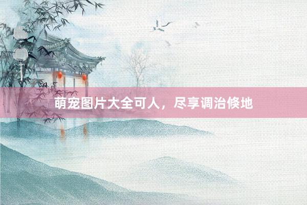萌宠图片大全可人，尽享调治倏地